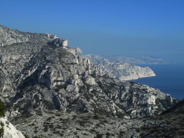 Bild aus : Domaine de Marseilleveyre Bild aus : Domaine de Marseilleveyre